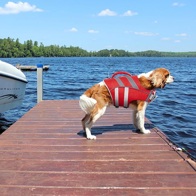 Kuoser Dog Life Jacket with Reflective Stripes