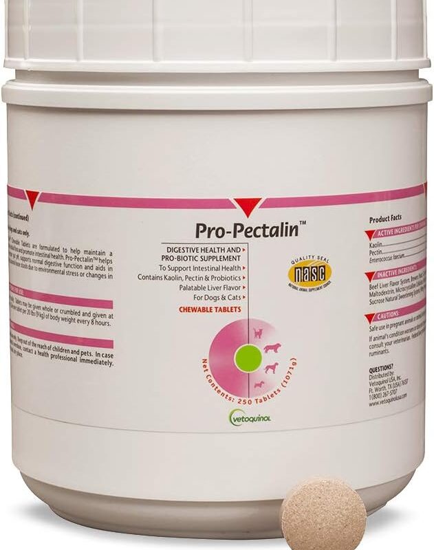 Vetoquinol Pro-Pectalin Chewable Tablets for Dogs & Cats – 250ct, Beef Liver Flavor – Helps Reduce Occasional Loose Stool & Diarrhea, Balance Gut pH, Support Normal Digestion & Intestinal Flora
