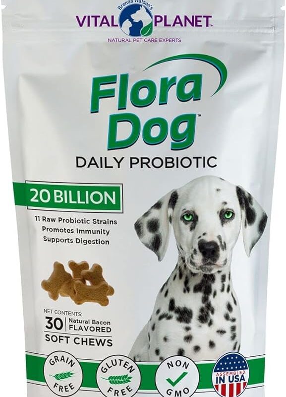 Vital Planet - Flora Dog Probiotics, Dog Chews Supplement with 20 Billion Cultures and 11 Strains, Immune and Digestive Support Chewable Probiotics for Dogs, 30 Natural Bacon Flavored Soft Chews