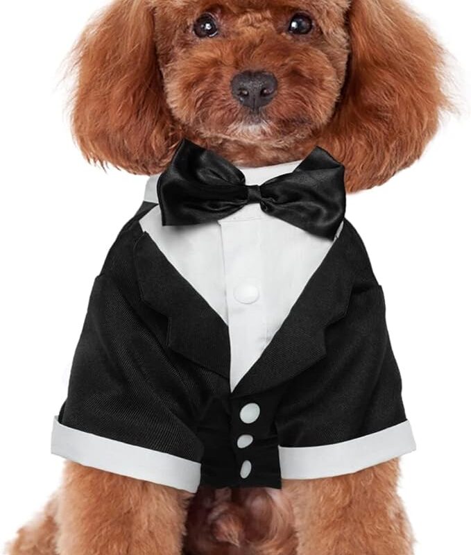 Kuoser Dog Tuxedo, Dog Wedding Suit with Bow Tie Formal Dog Tux Pet Wedding Party Birthday Costume, Dog Valentines Christmas Halloween Graduation Outfit Cosplay for Small Medium Large Dogs, Black M