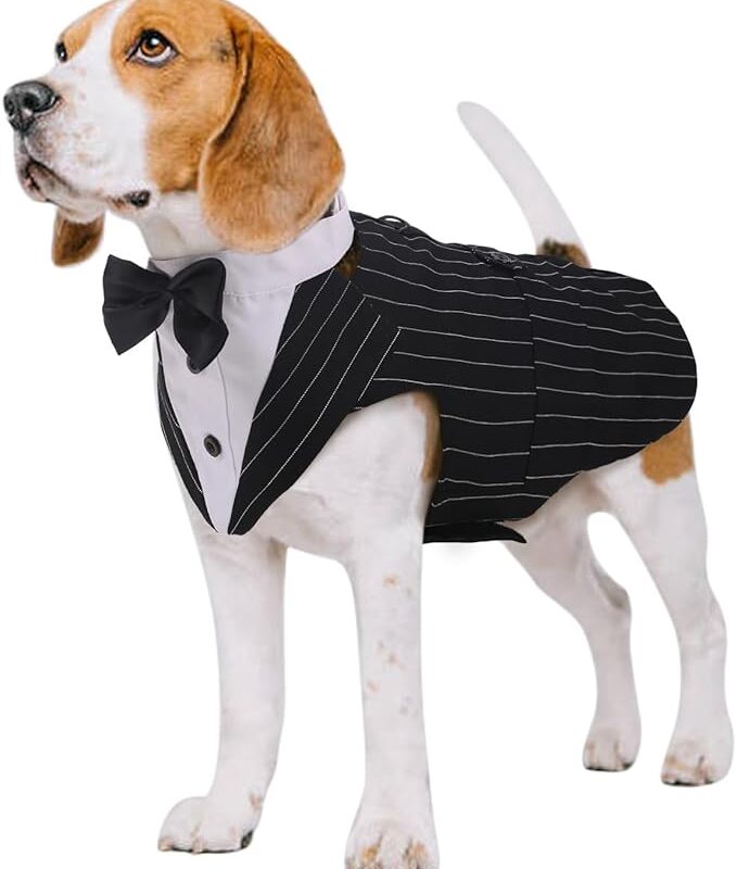Kuoser Dog Tuxedo Dog Suit and Bandana Set, Dogs Tuxedo Wedding Party Suit, Dog Prince Wedding Bow Tie Shirt Formal Dog Wedding Attire for Large and Medium Dogs Golden Retriever Samo Bulldogs