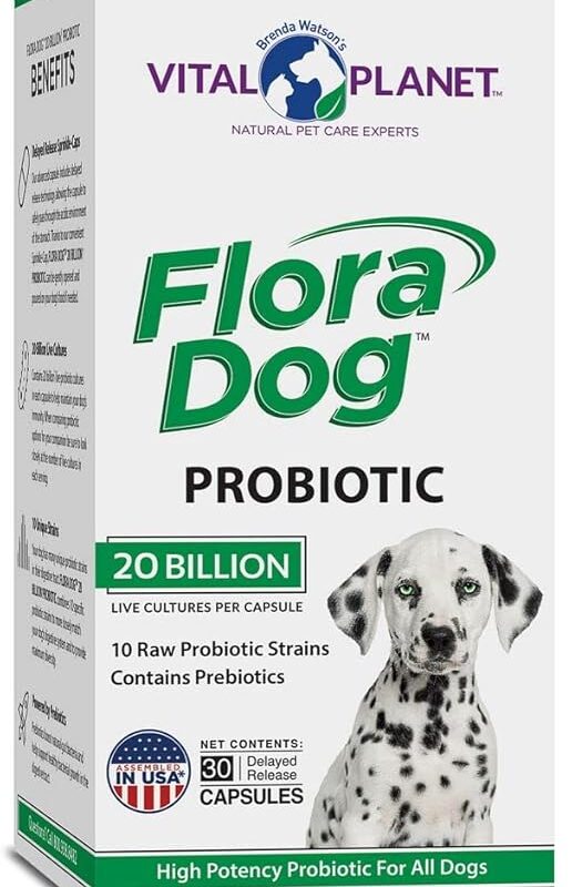 Vital Planet - Flora Dog Probiotic Capsules Supplement with 20 Billion Cultures and 10 Strains, High Potency Immune and Digestive Support Probiotics for Dogs, 30 Delayed Release Capsules