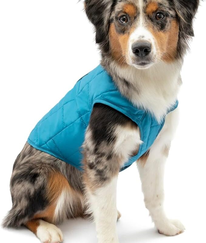 Kurgo Loft Dog Jacket, Reversible Dog Coat, Wear with Harness or Sweater, Water Resistant, Reflective, Winter Coat for Small Dogs (Coastal Blue, XS)