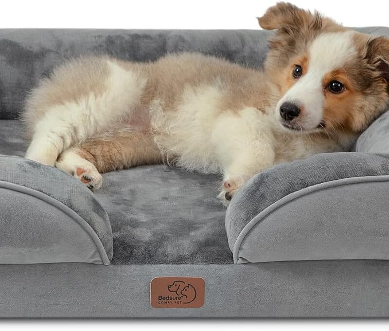 Bedsure Orthopedic Dog Bed for Medium Dogs