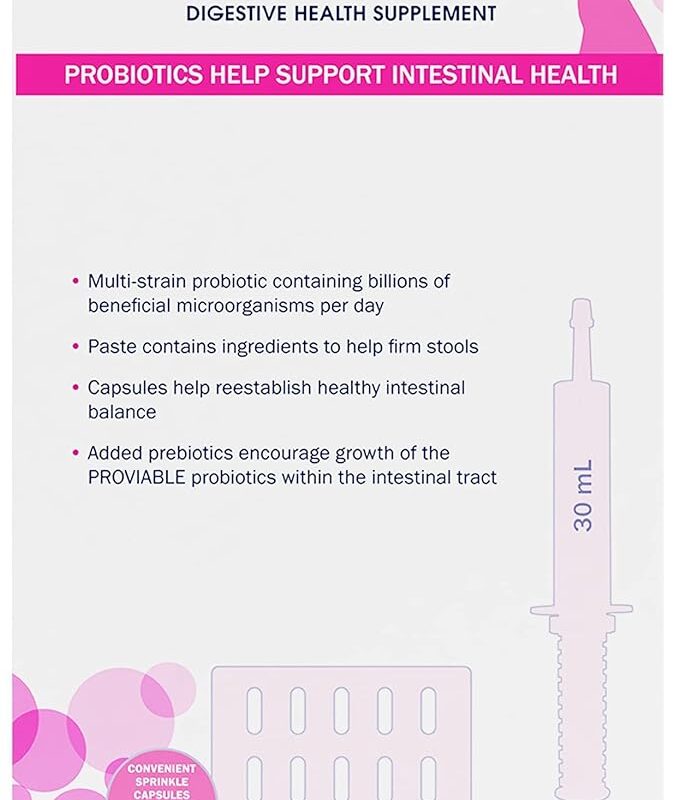 Nutramax Proviable Digestive Health Supplement Kit with Multi-Strain Probiotics and Prebiotics for Medium to Large Dogs - with 7 Strains of Bacteria, 30 mL Paste and 10 Capsules
