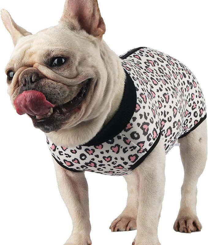 Due Felice Dog Surgery Recovery Suit Pet Surgical Onesie After Surgery Wear for Female Male Dog Recovery Collar Alternative Leopard/Small