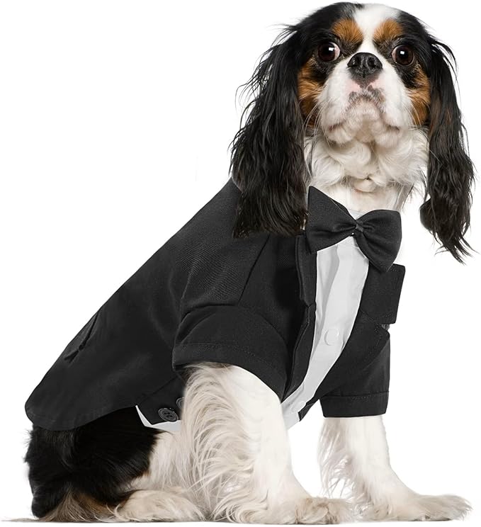Queenmore Dog Tuxedo Suit, Formal Dog Outfit for Wedding, Pet Tuxedo with Tie, Dog Halloween Costume for Large Medium Small Dog,Puppy and Cat (Black,S)