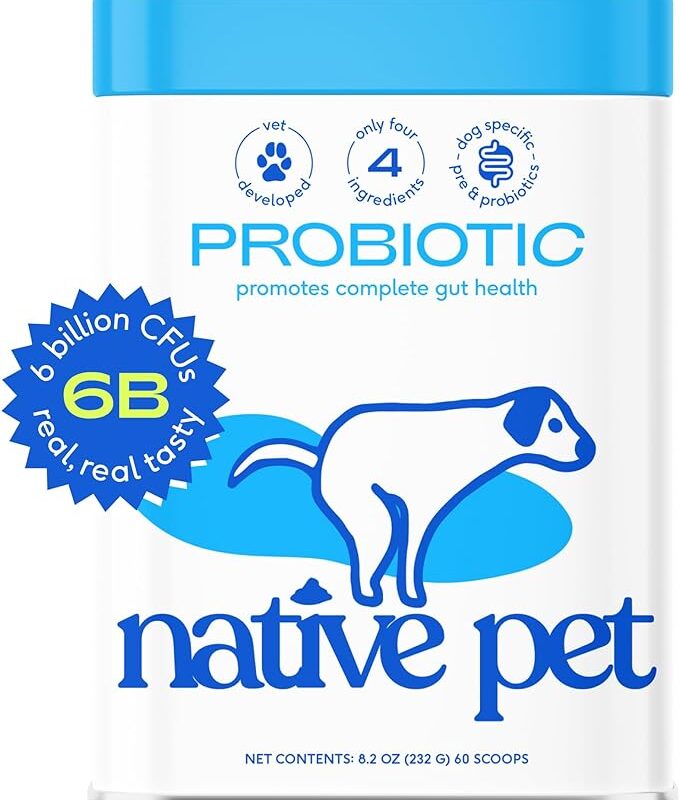 Native Pet Vet Created Probiotic Powder for Dogs Digestive Issues - Dog Probiotic Powder + Prebiotic + Bone Broth - 232 Gram 6 Billion CFU- Probiotics Dogs Will Love! (8.2 oz)