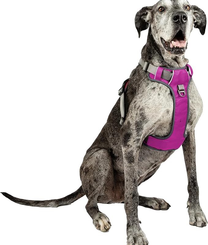 Embark Urban Dog Harness, No-Pull Reflective Trim Dog Harness for Small, Medium & Large Dogs - Military Grade Nylon, 2 Leash Clips & Gel Lined Handle. Soft & Padded Puppy Dog Vest for Any Breed