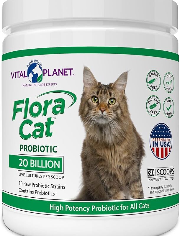 Vital Planet - Flora Cat Probiotic Powder Supplement with 20 Billion Cultures and 10 Diverse Strains High Potency Probiotics for All Cats for Feline Digestive and Immune Support 30 Scoops 3.92 oz
