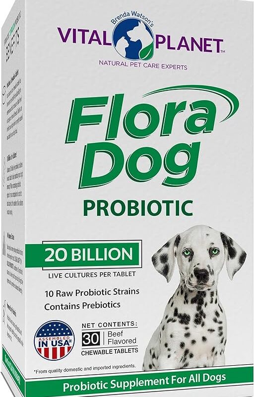 Vital Planet - Flora Dog Probiotic Chewable Tablets Supplement with 20 Billion Cultures and 10 Strains, High Potency Immune and Digestive Support Probiotics for Dogs, 30 Beef Flavored Chewable Tablets