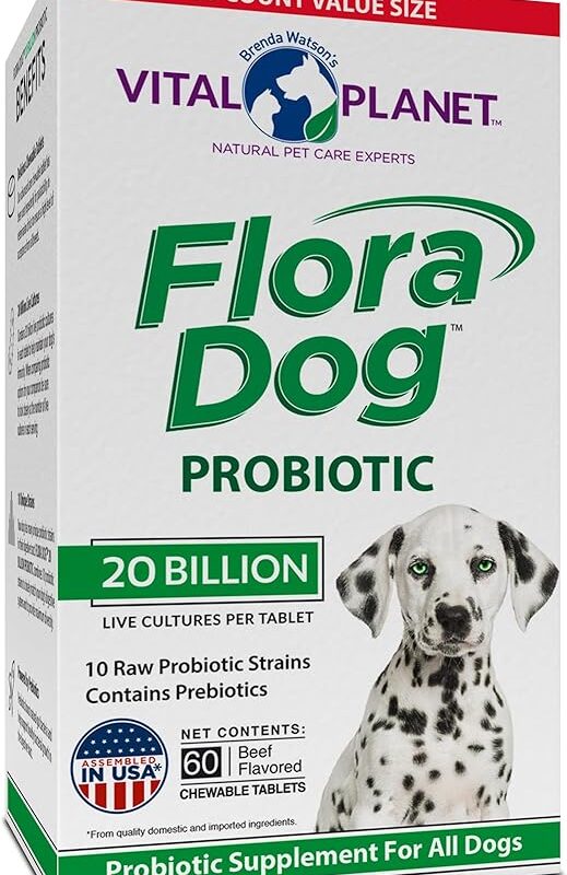 Vital Planet - Flora Dog Probiotic Chewable Tablets Supplement with 20 Billion Cultures and 10 Strains, High Potency Immune and Digestive Support Probiotics for Dogs, 60 Beef Flavored Chewable Tablets